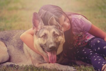 Un chien dans une famille