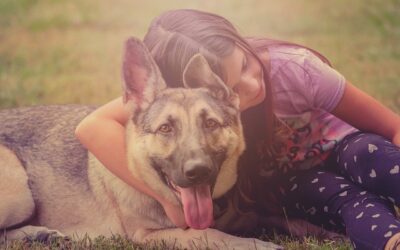 Un chien dans une famille