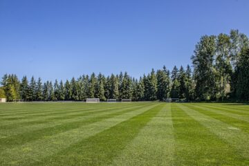 terrain de football