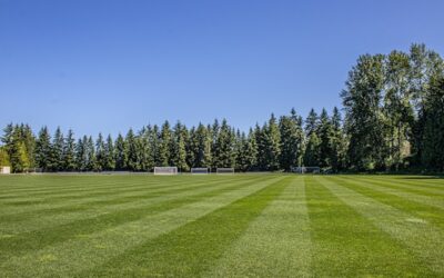 terrain de football