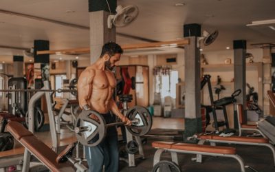 force en musculation