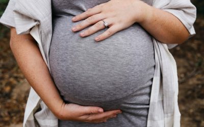 Développement fœtus