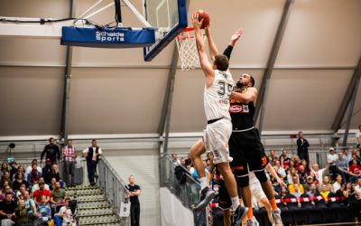 basketball professionnel