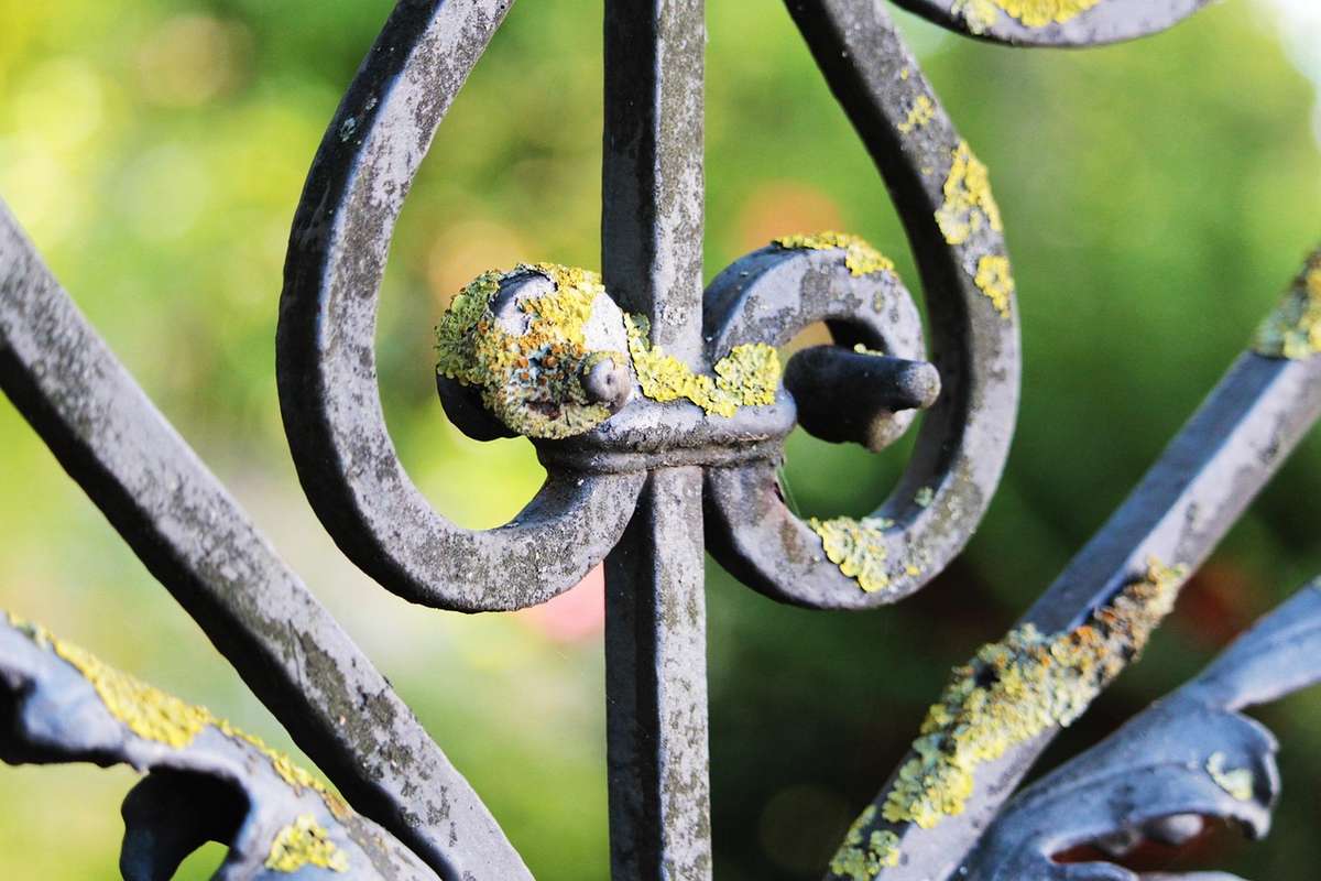 Bordure métallique de jardin installée le long d'une pelouse Bordure métallique de jardin installée le long d'une pelouse