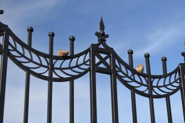 Deux oiseaux se reposent sur une clôture en fer forgé