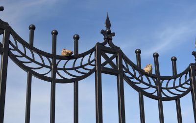 Deux oiseaux se reposent sur une clôture en fer forgé